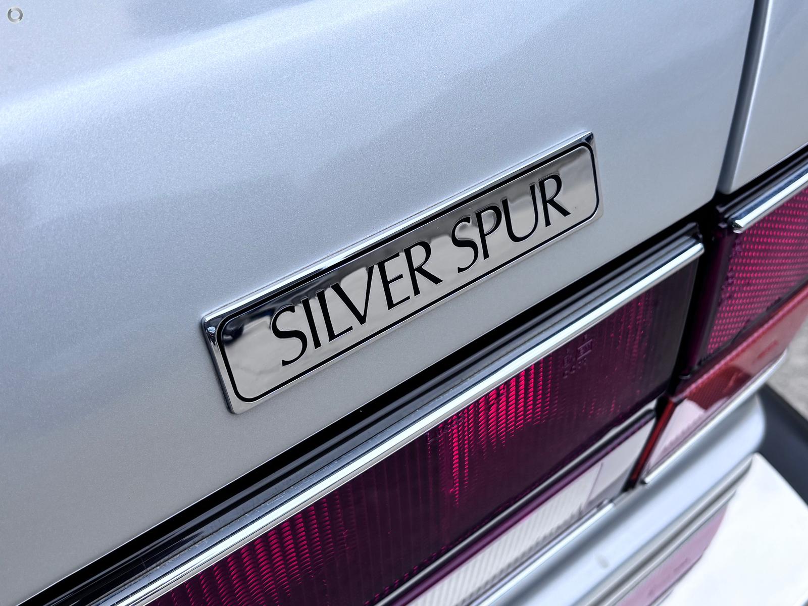 Silver Spur